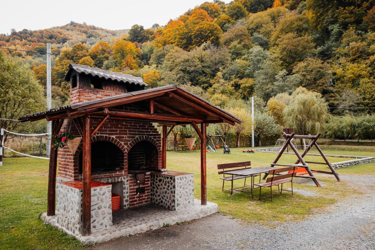 Casa Ardeleana Hotel Lotrioara Eksteriør billede